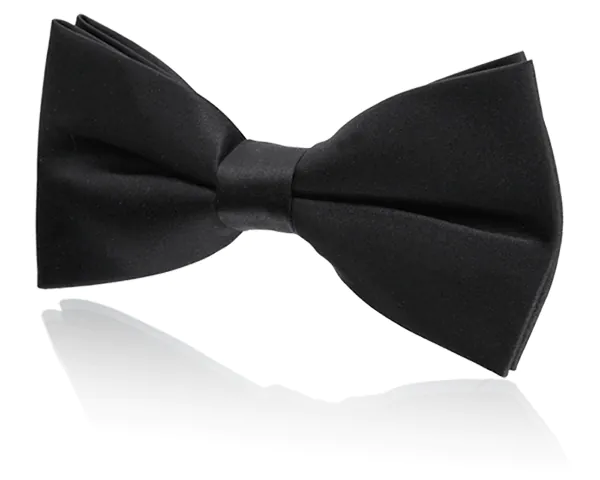 Pojkar Svart Polyester Kummerband & Knuten Fluga Set - photo 1