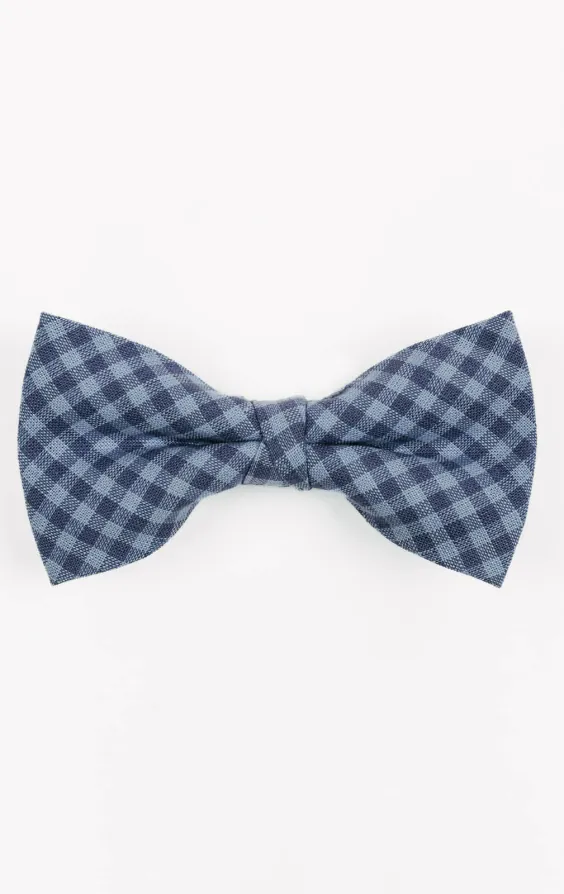Blå gingham-mönstrad fluga