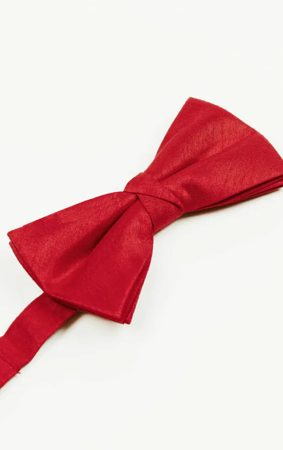 Karmosinröd fluga i polyester dupion - Stor - photo 1
