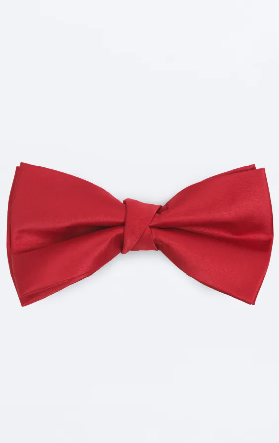 Röd fluga i polyester (knuten och oknuten) Röd fluga i polyester (knuten och oknuten)