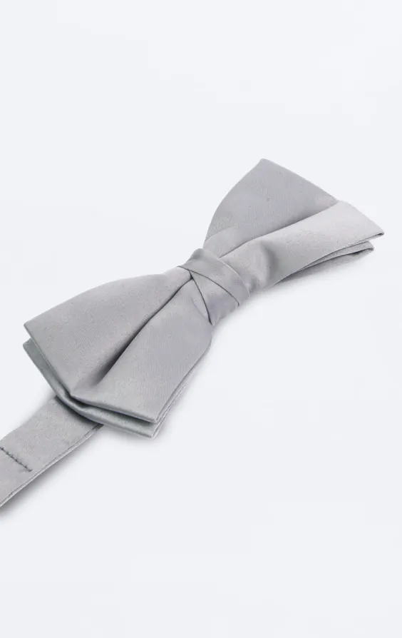 Silverfluga i polyester (knuten och oknuten) - photo 1