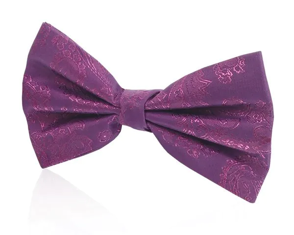 Pojkar lila paisley fluga