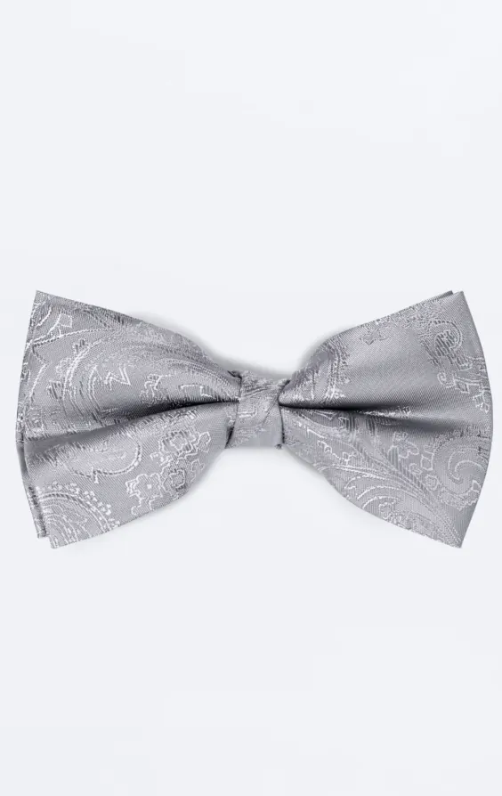 Silver paisley fluga