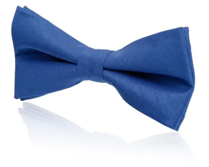 Pojkar kungsblå knuten fluga i polyester