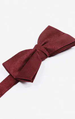 Vinröd fluga i polyester dupion