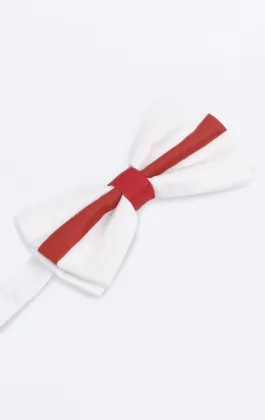 Knuten fluga med St. George kors i polyester