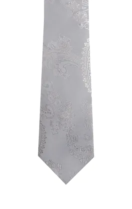 Pojkar silver paisleymönstrad slips
